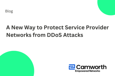 A New Way to Protect Service Provider Networks from DDoS Attacks